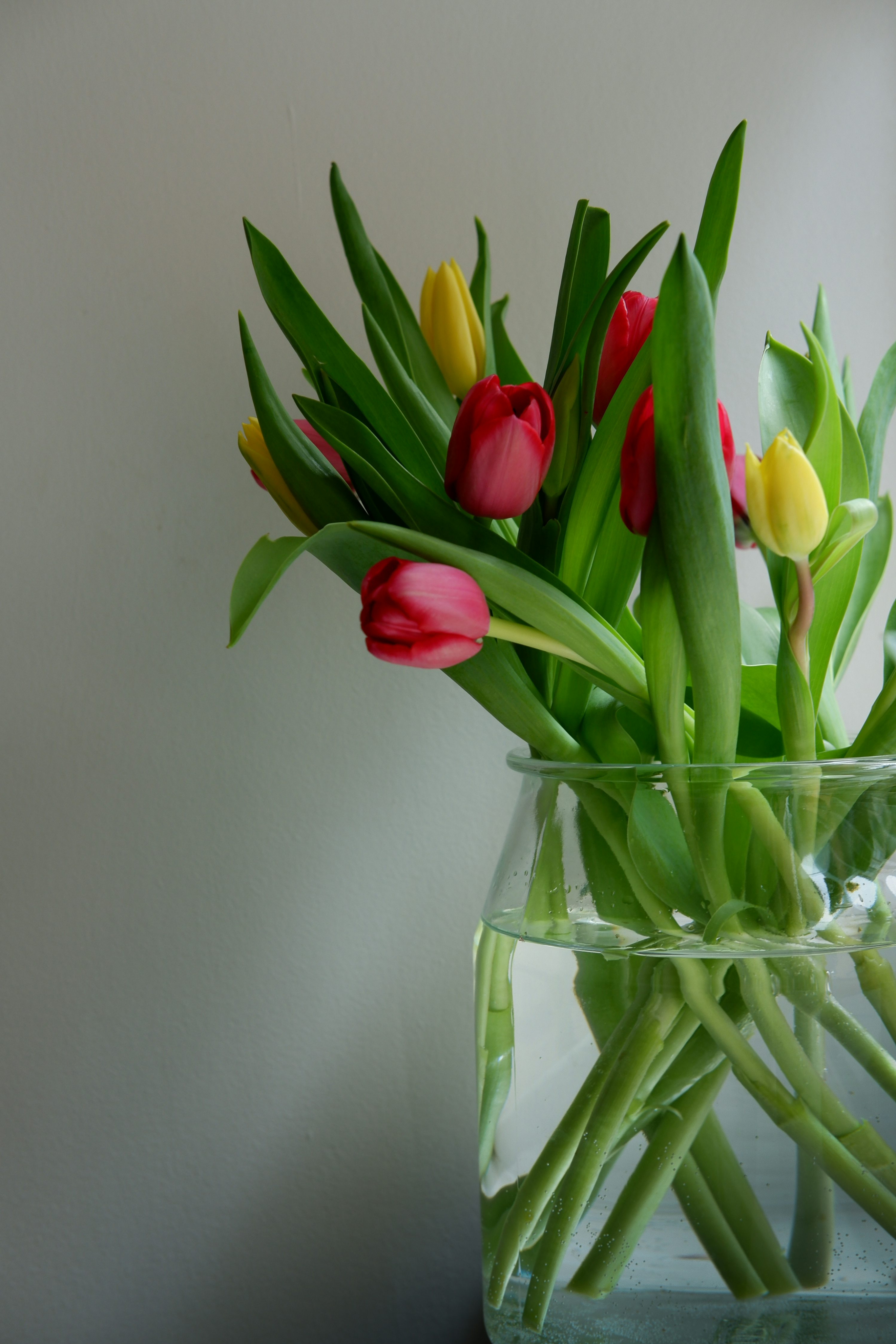 Bouquette of tulips